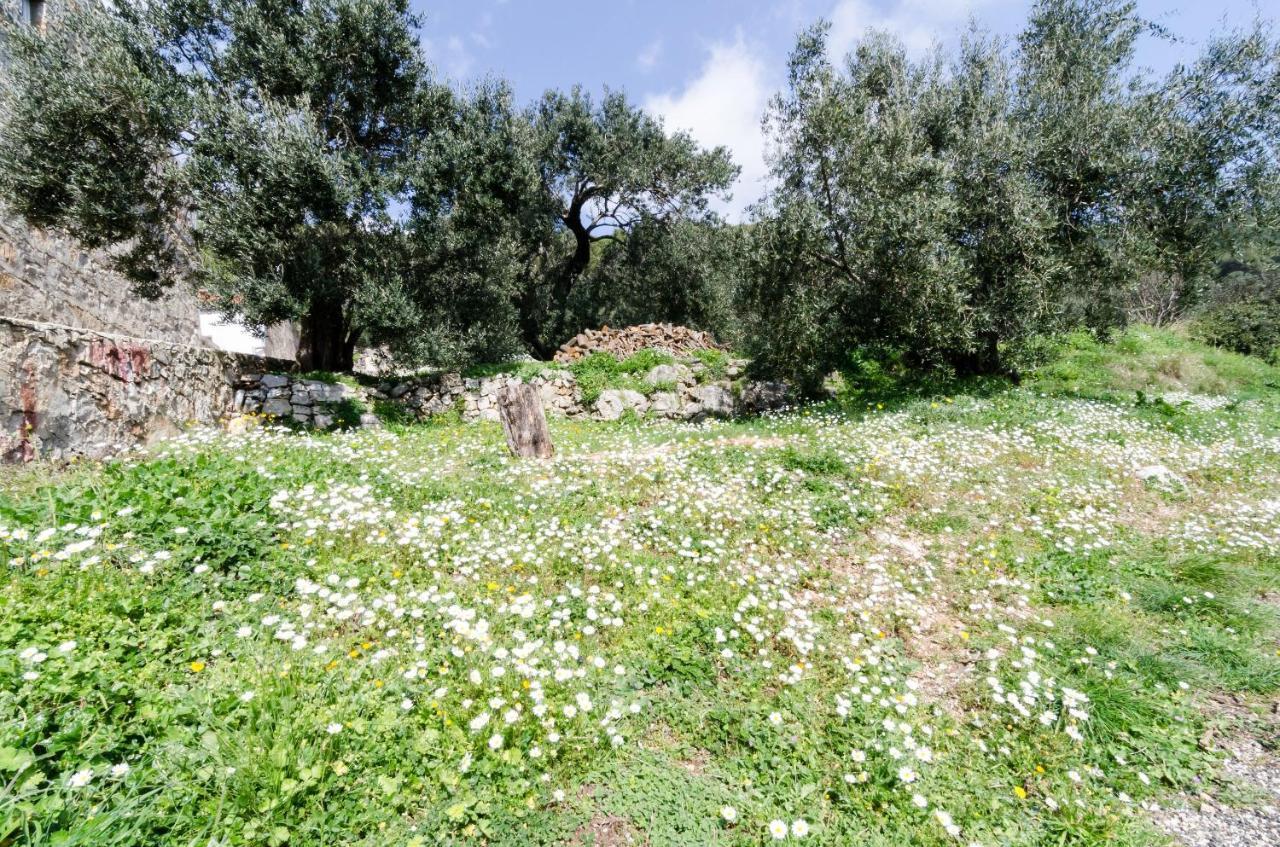 Apartmani Popovic Babino Polje Exterior photo